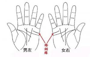 左手两条婚姻线,男性婚姻怎么样