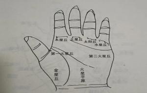 手相中的金星丘怎么看