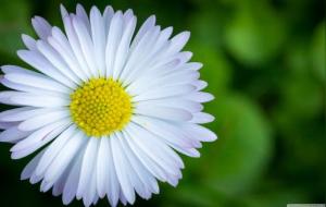 生活中的旺运方法