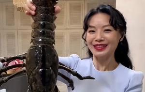 身宫与“匹配规则”的关系