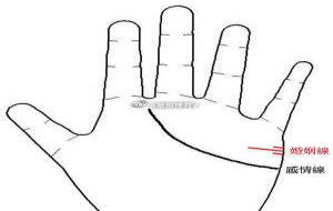 手相看婚姻,什么样的爱可以长久