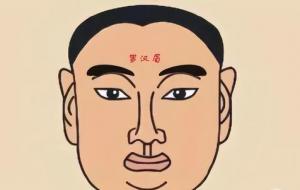 什么是罗汉眉,罗汉眉的面相性格