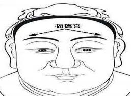 面相福德宫:通过长相看福气福德